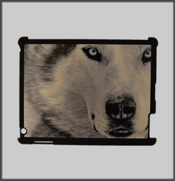 Husky Face I Pad Cover